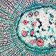 Binocular Biological Microscope